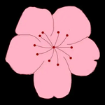 西瓜视频免费最新版